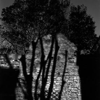 Франция. Languedoc - Rousillon. 1989 г. Мартин Франк.