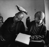 Непал. Bodnath. Монастырь, тулку Khentrullodro Rabsel (12 лет) с учителем, Lhagyel. 1996 г. Мартин Франк.