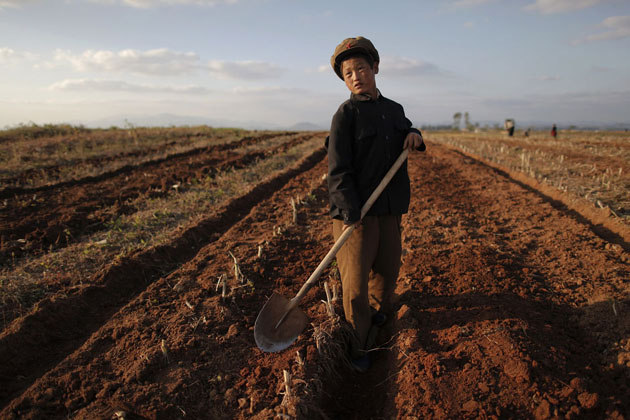 Северо - корейский мальчик на работе, на колхозном поле