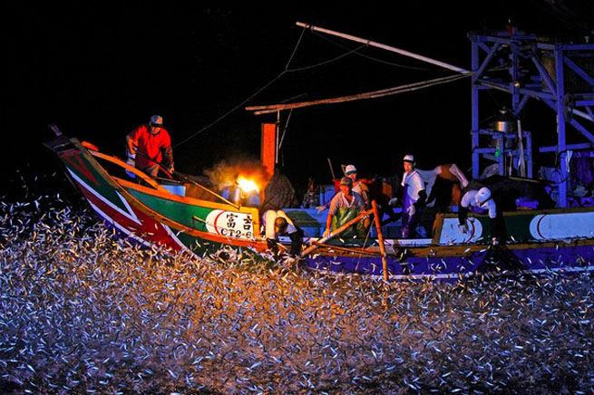 Раз в году рыбаки c острова Формоза, проводят свой ритуал ловли рыбы